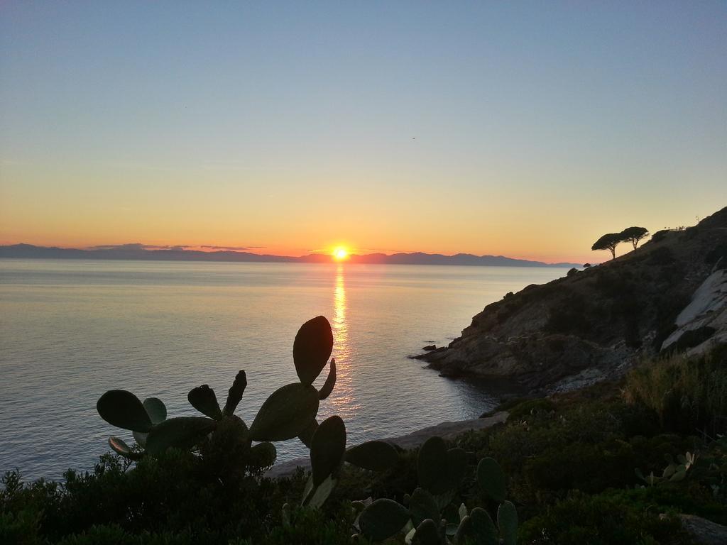 L'Ogliera Appartamenti Dell'Aia Pomonte Dış mekan fotoğraf